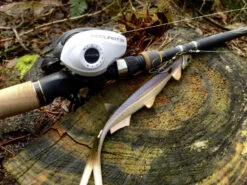 Quantum Accurist Baitcast AT101 HPT 13 Quantum Accurist Baitcast AT101 HPT -Boutique Campagnolo 22 570101 6