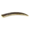 Bite Of Bleak Nazeebo Worm 10cm (8-pack) 2 Bite Of Bleak Nazeebo Worm 10cm (8-pack) -Boutique Campagnolo BOB 00 0961r 1