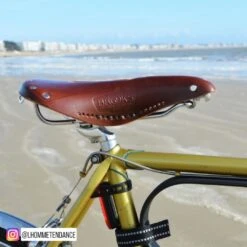 Selle Vélo Cuir Brooks B17 Carved Brun Pour Homme -Boutique Campagnolo brooks selle lhommetendance