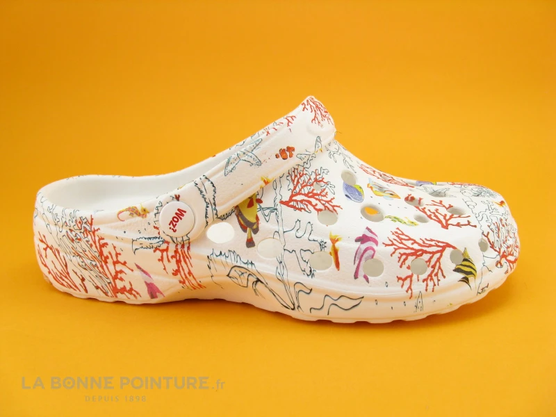 Woz Cheese Aquarium Mare 7 Woz Cheese Aquarium Mare – Image 5