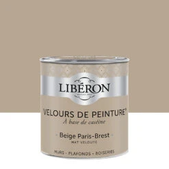 Castorama Peinture Murs, Plafonds Et Boiseries Velours De Peinture Beige Paris-brest Liberon 0,5L
