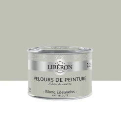Castorama Peinture Murs, Plafonds Et Boiseries Velours De Peinture Blanc Edelweiss Liberon 125 Ml
