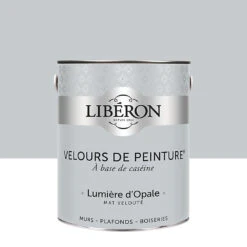 Castorama Peinture Murs, Plafonds Et Boiseries Velours De Peinture Gris Lumiere D'opale Liberon 2,5L